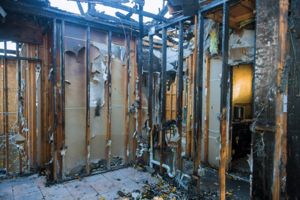 Professional Fire Damage Removal technician working in Manitou Springs, CO